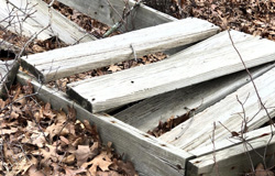 abigail burnham bloom one page poetry circle